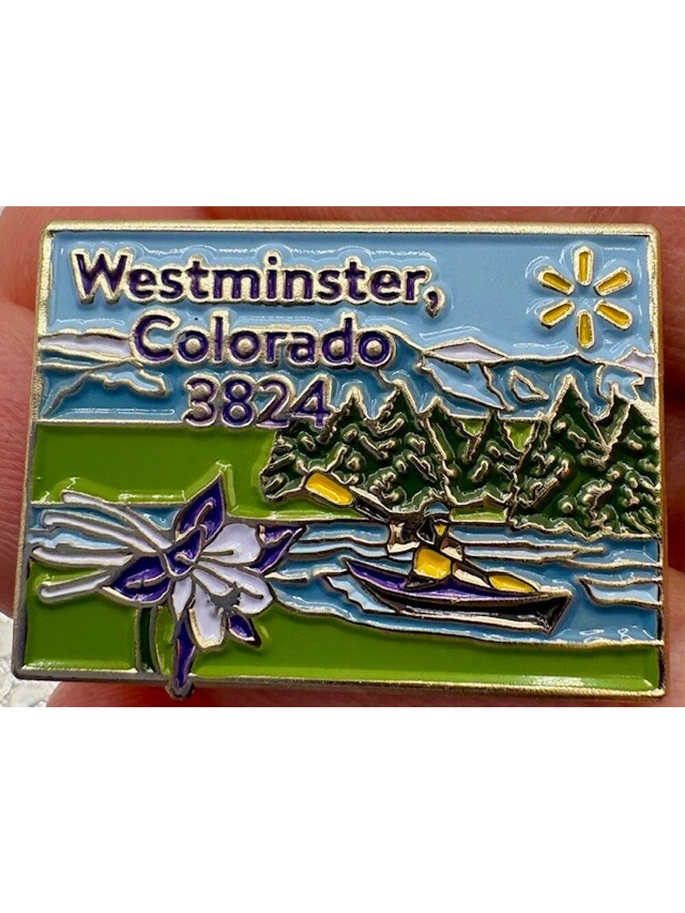 WalMart Pin - Westminster Colorado Store # 3824 - Hogeye 2018 Backside